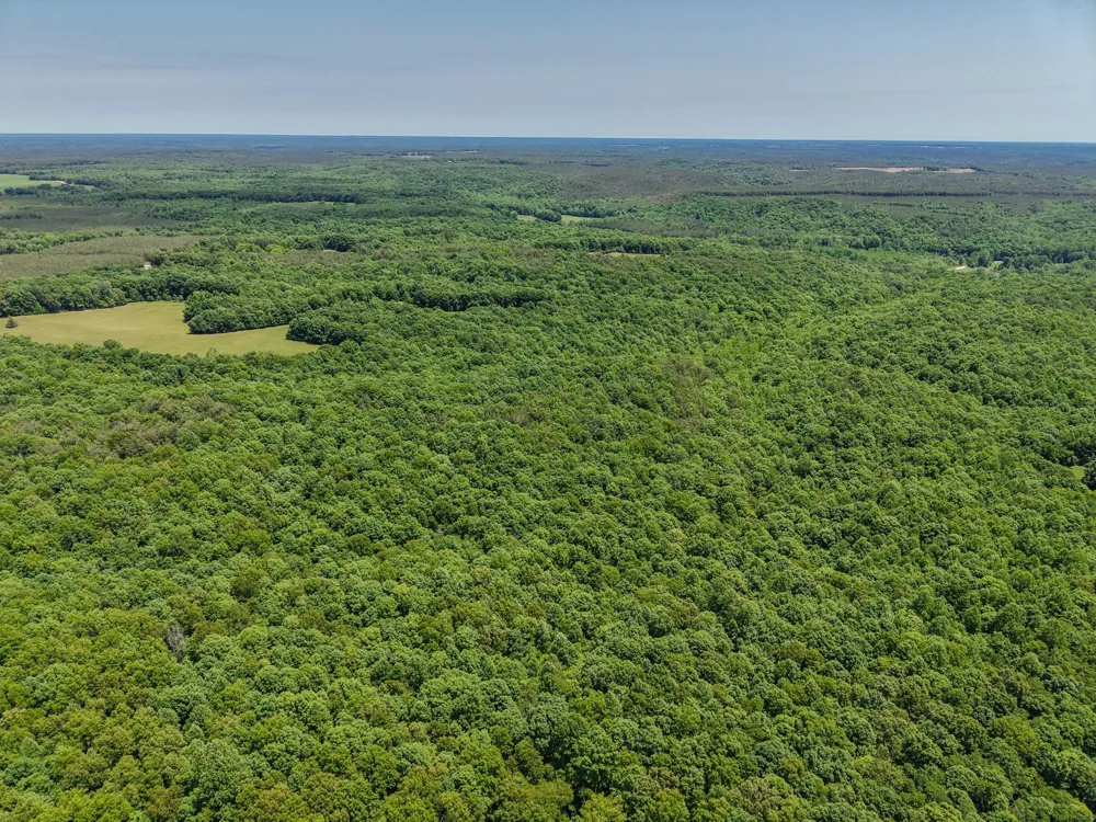 0 Johnson Rd Lutts, TN 38471