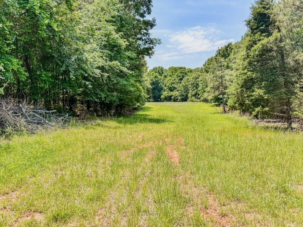 0 Johnson Rd Lutts, TN 38471