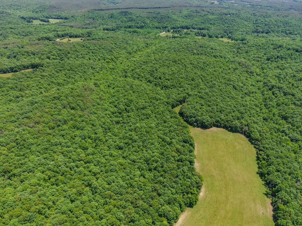0 Johnson Rd Lutts, TN 38471
