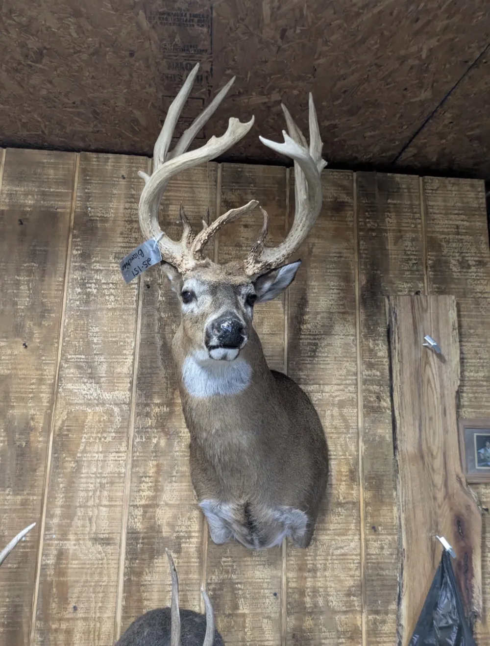 0 Johnson Rd Lutts, TN 38471