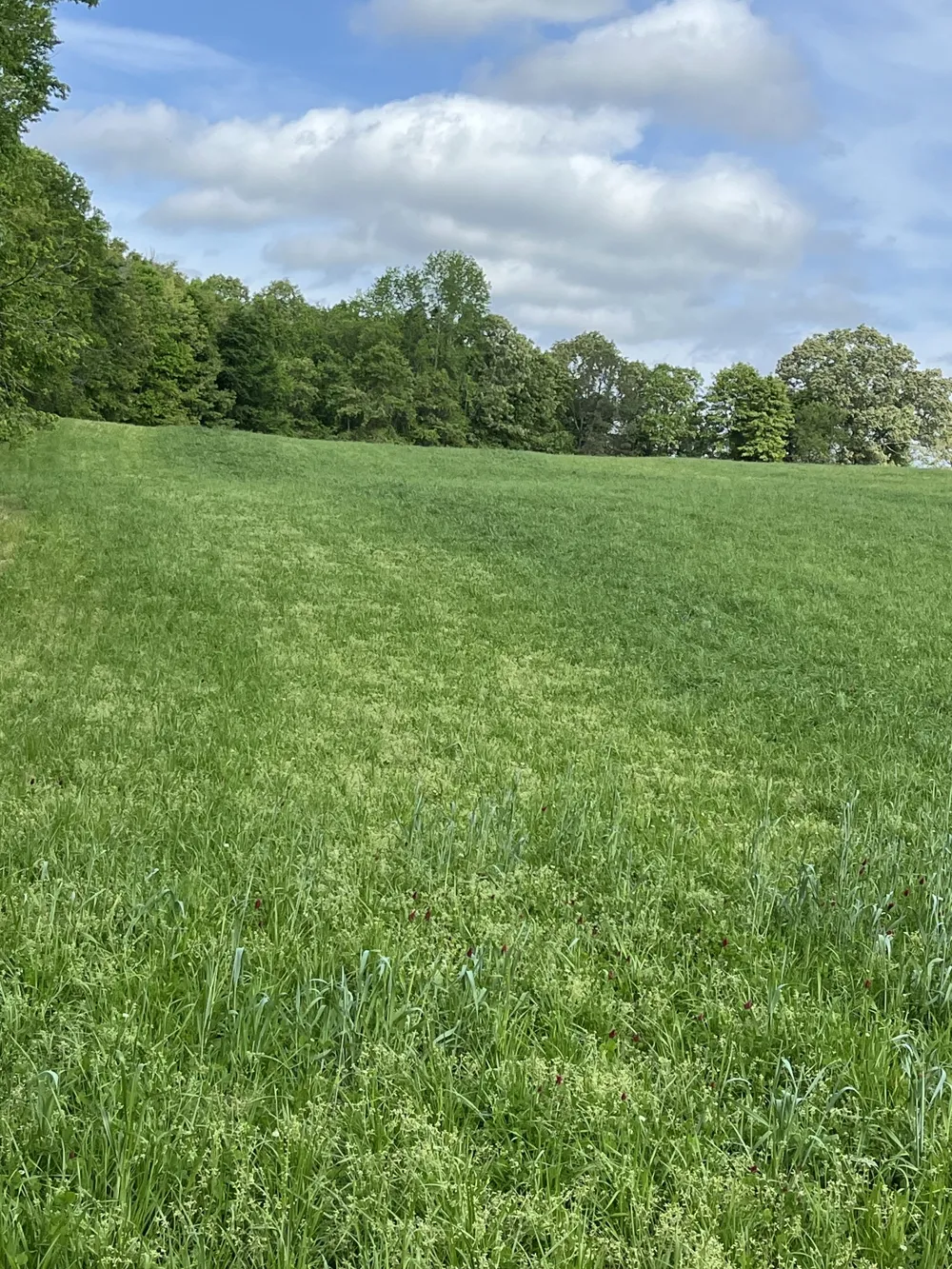 0 Johnson Rd Lutts, TN 38471