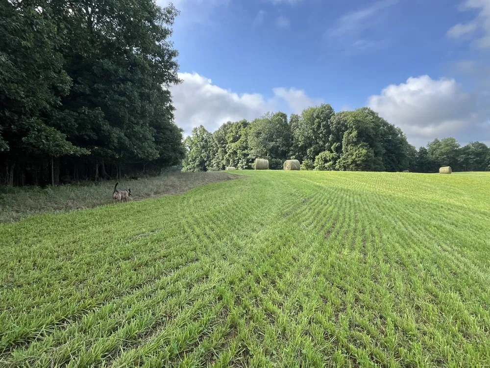0 Johnson Rd Lutts, TN 38471
