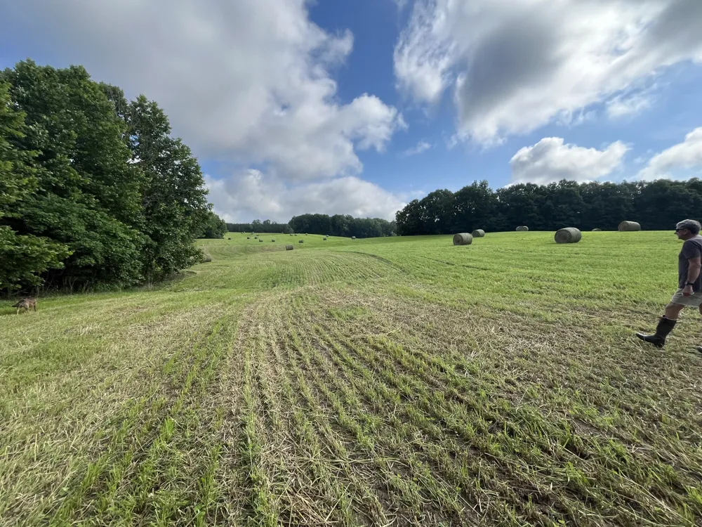 0 Johnson Rd Lutts, TN 38471