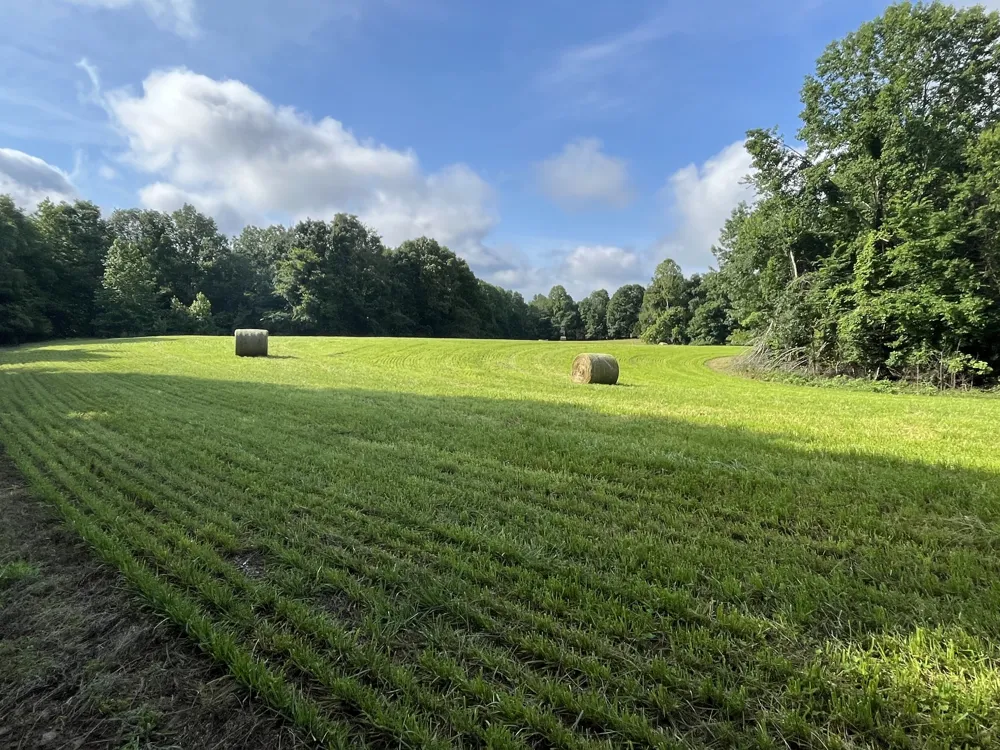 0 Johnson Rd Lutts, TN 38471