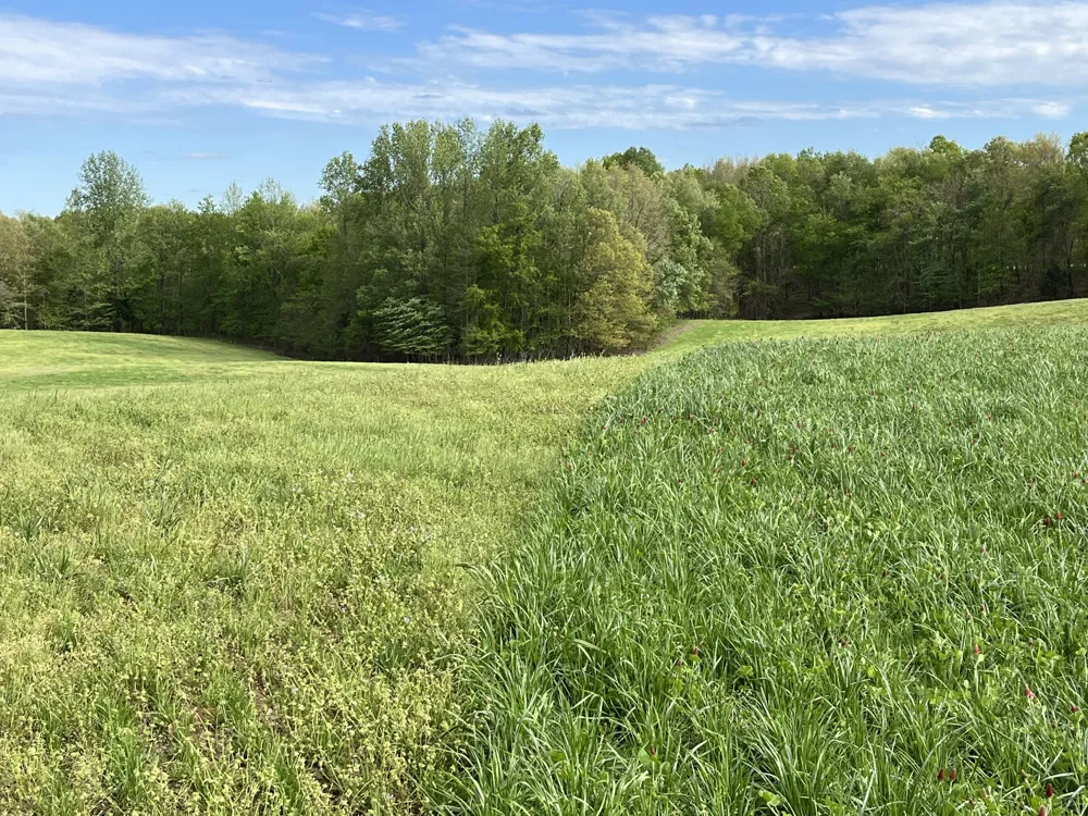 0 Johnson Rd Lutts, TN 38471