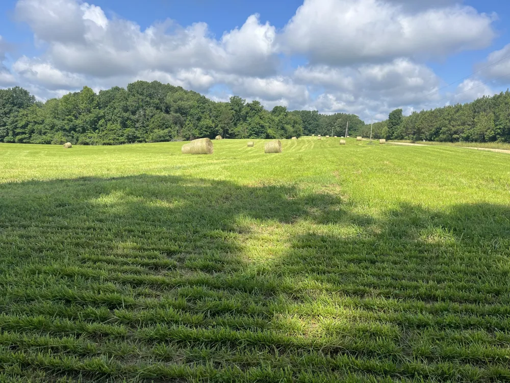 0 Johnson Rd Lutts, TN 38471