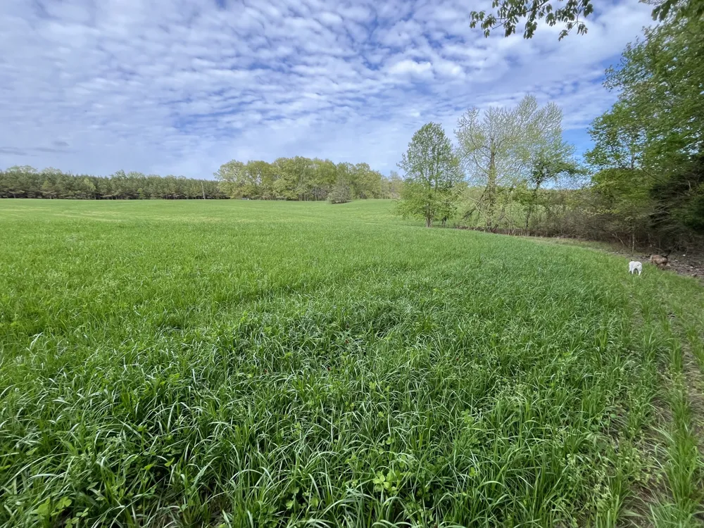 0 Johnson Rd Lutts, TN 38471