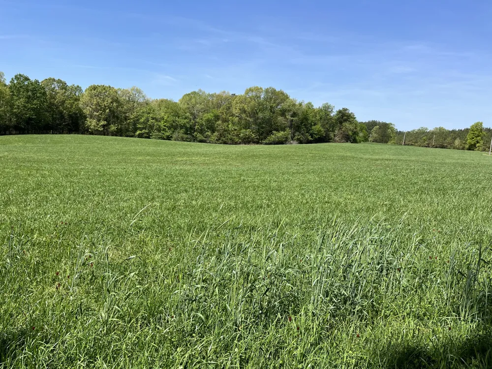 0 Johnson Rd Lutts, TN 38471