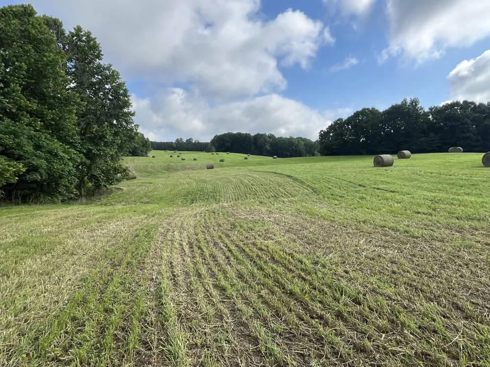 0 Johnson Rd Lutts, TN 38471