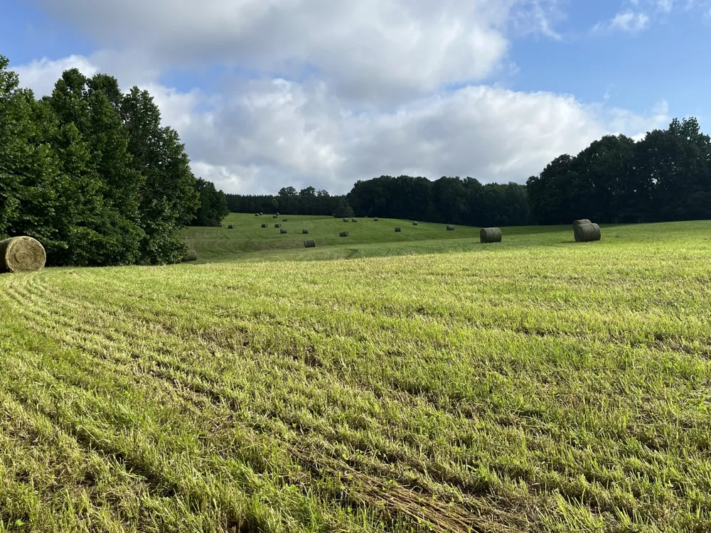 0 Johnson Rd Lutts, TN 38471