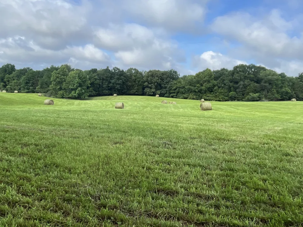 0 Johnson Rd Lutts, TN 38471