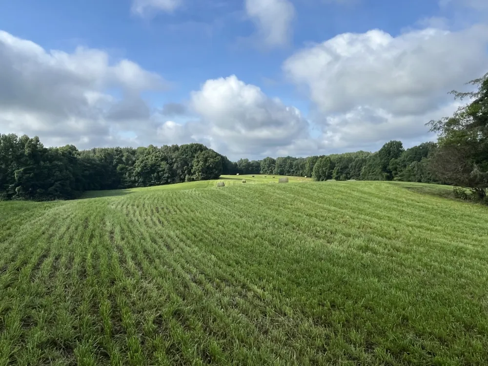 0 Johnson Rd Lutts, TN 38471