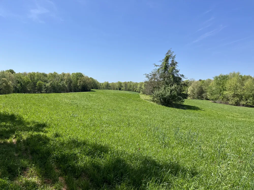 0 Johnson Rd Lutts, TN 38471