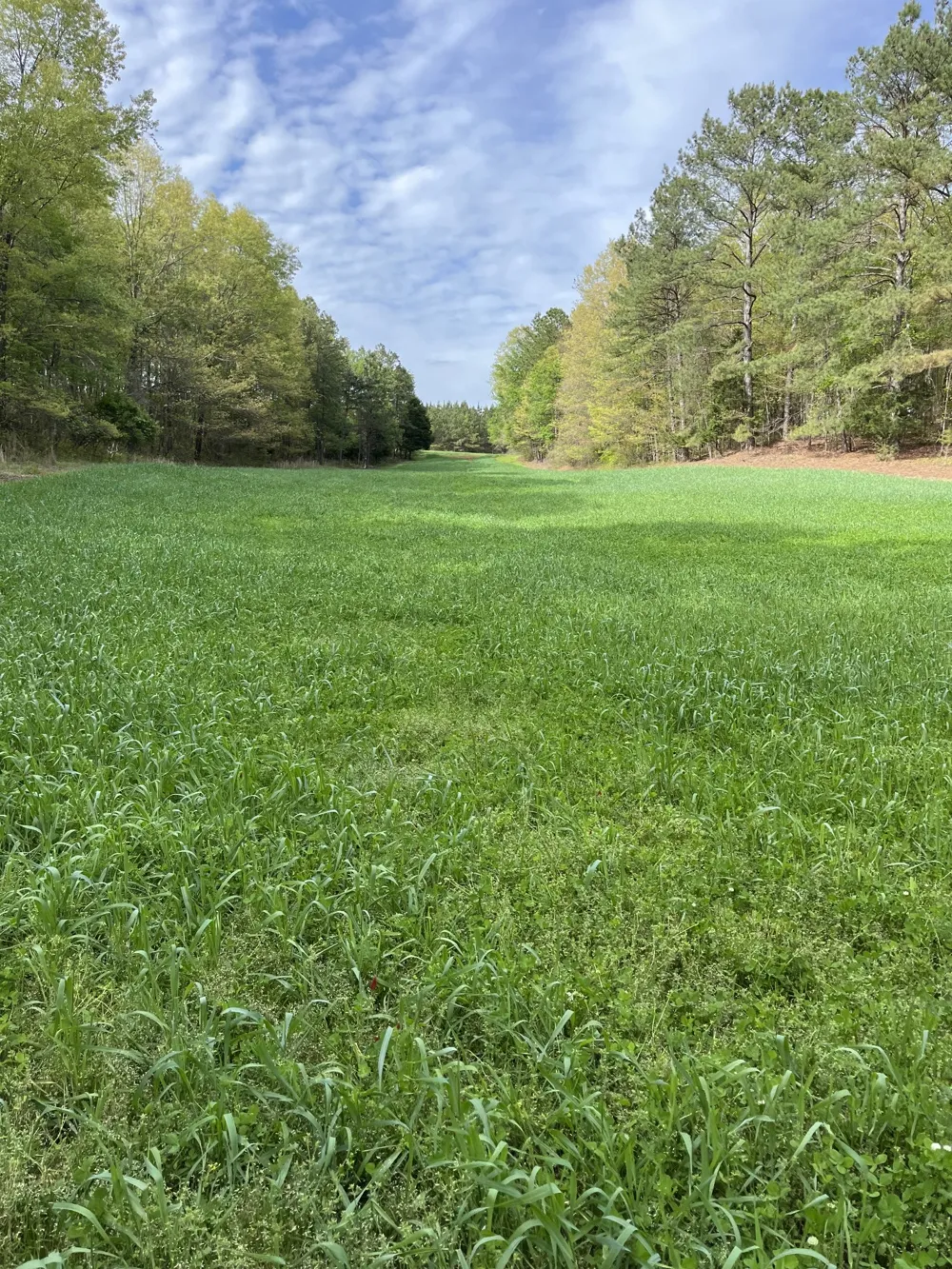0 Johnson Rd Lutts, TN 38471