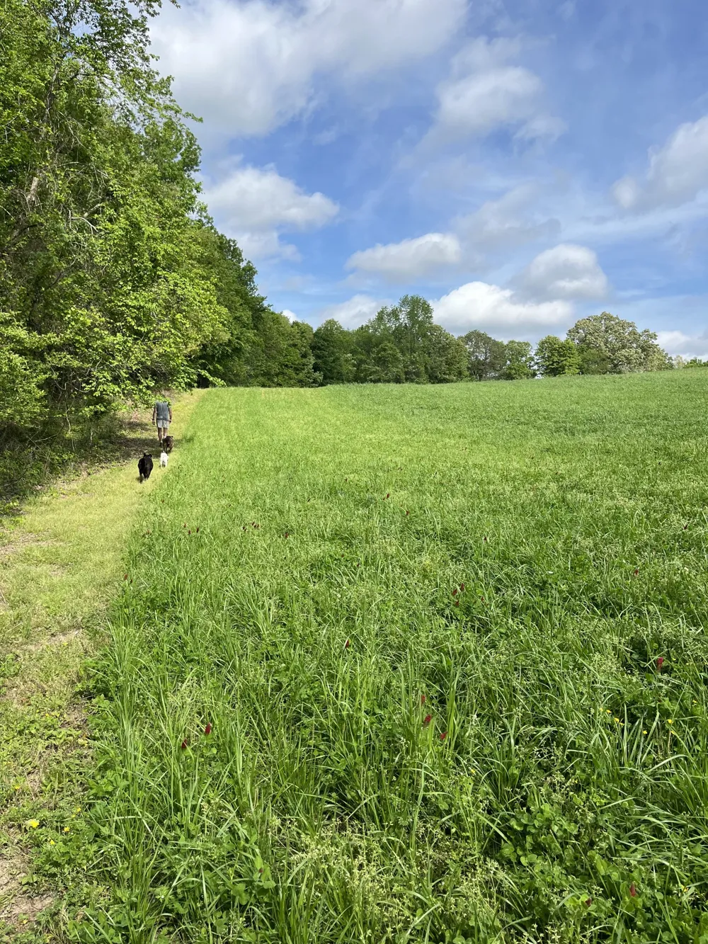 0 Johnson Rd Lutts, TN 38471