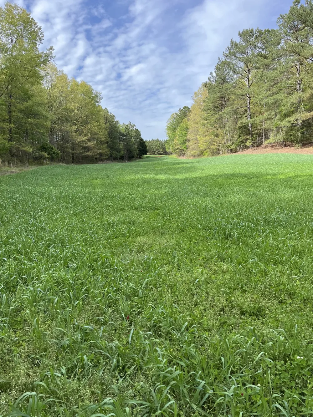 0 Johnson Rd Lutts, TN 38471