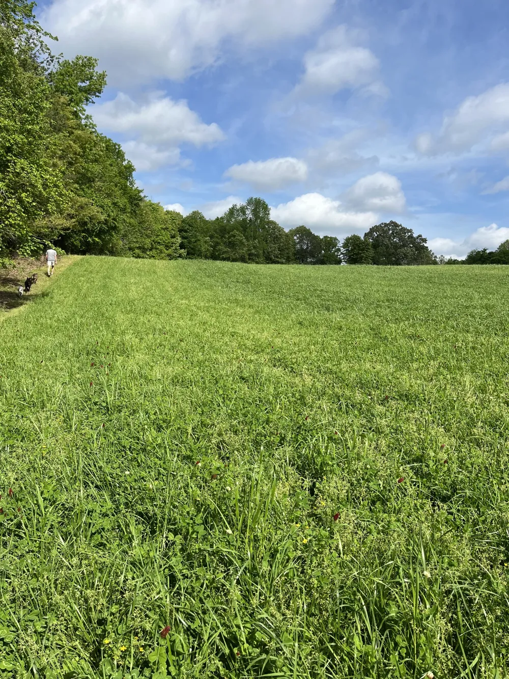 0 Johnson Rd Lutts, TN 38471