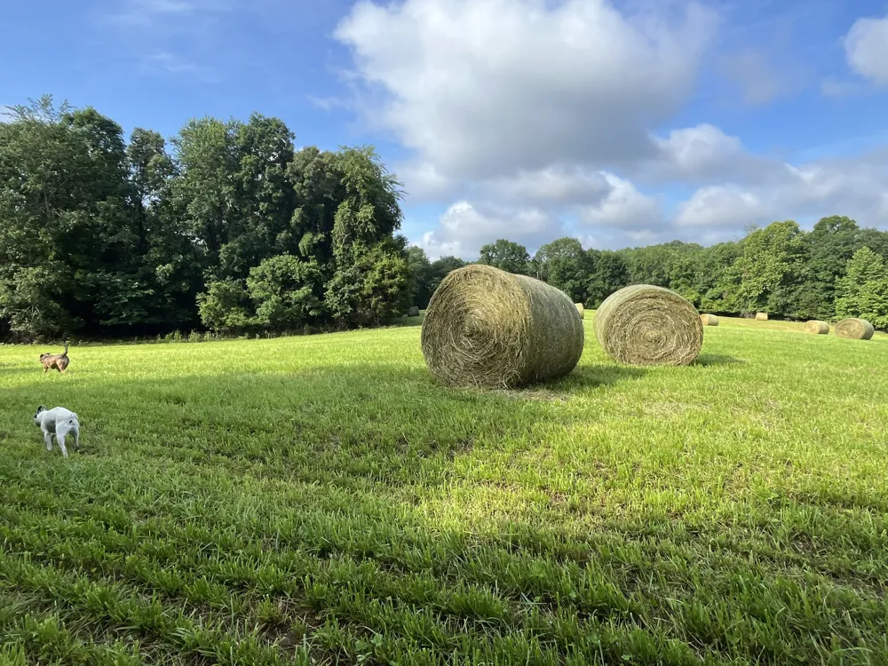 0 Johnson Rd Lutts, TN 38471