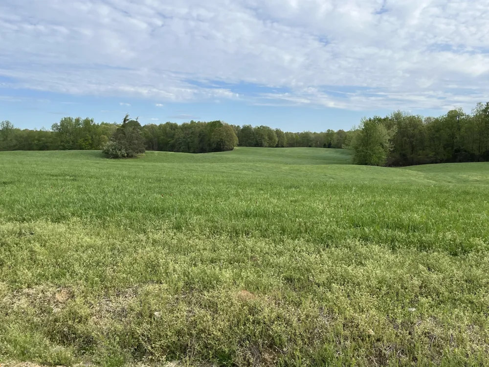 0 Johnson Rd Lutts, TN 38471