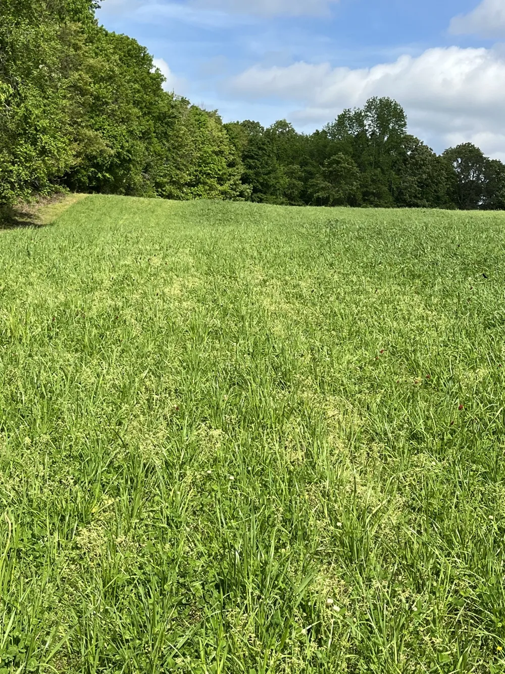0 Johnson Rd Lutts, TN 38471