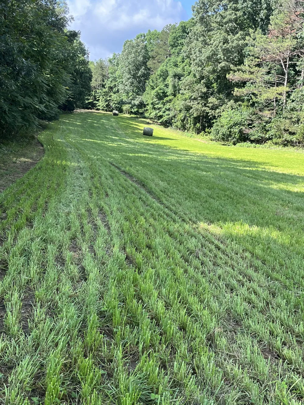 0 Johnson Rd Lutts, TN 38471