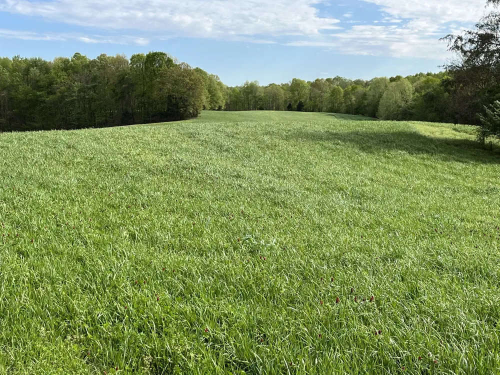 0 Johnson Rd Lutts, TN 38471