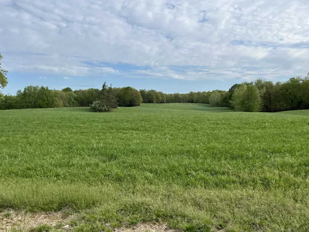 0 Johnson Rd Lutts, TN 38471