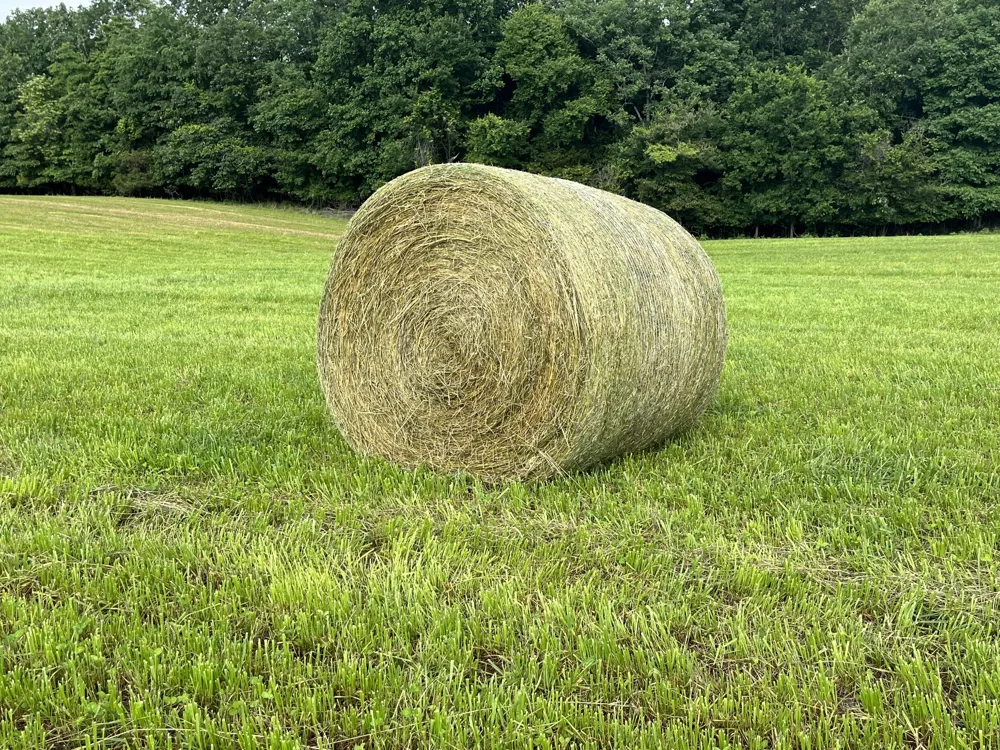 0 Johnson Rd Lutts, TN 38471