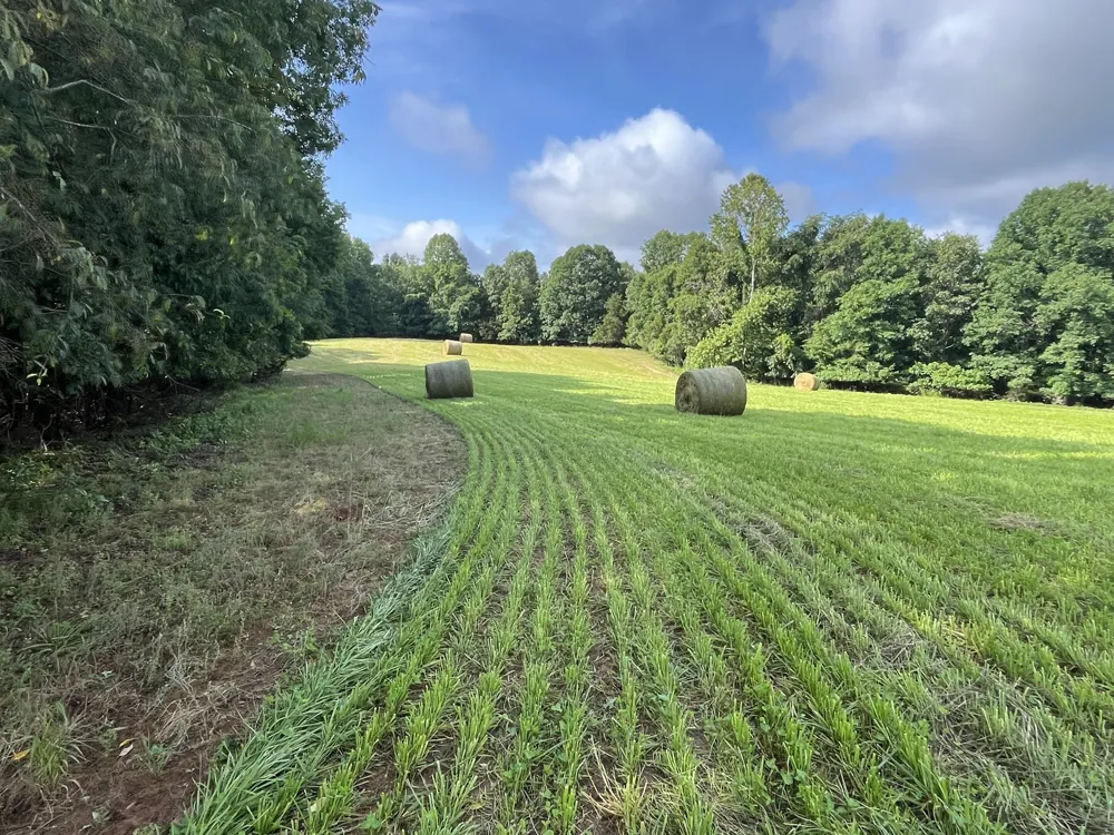 0 Johnson Rd Lutts, TN 38471
