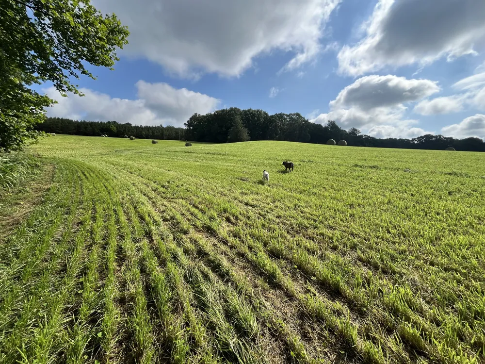 0 Johnson Rd Lutts, TN 38471