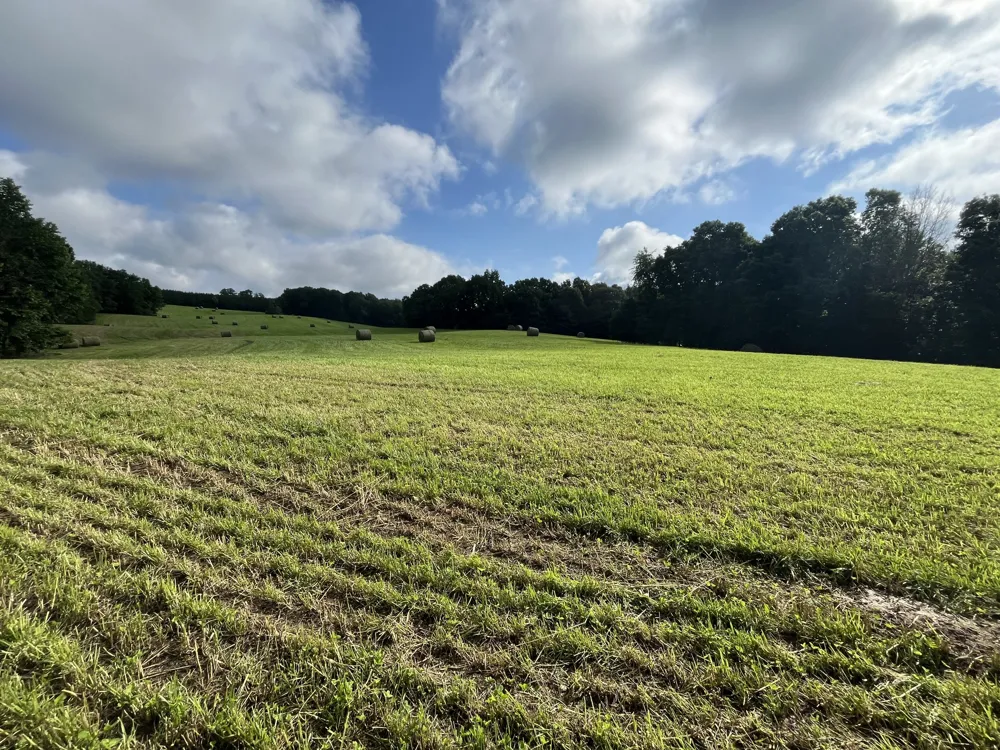 0 Johnson Rd Lutts, TN 38471