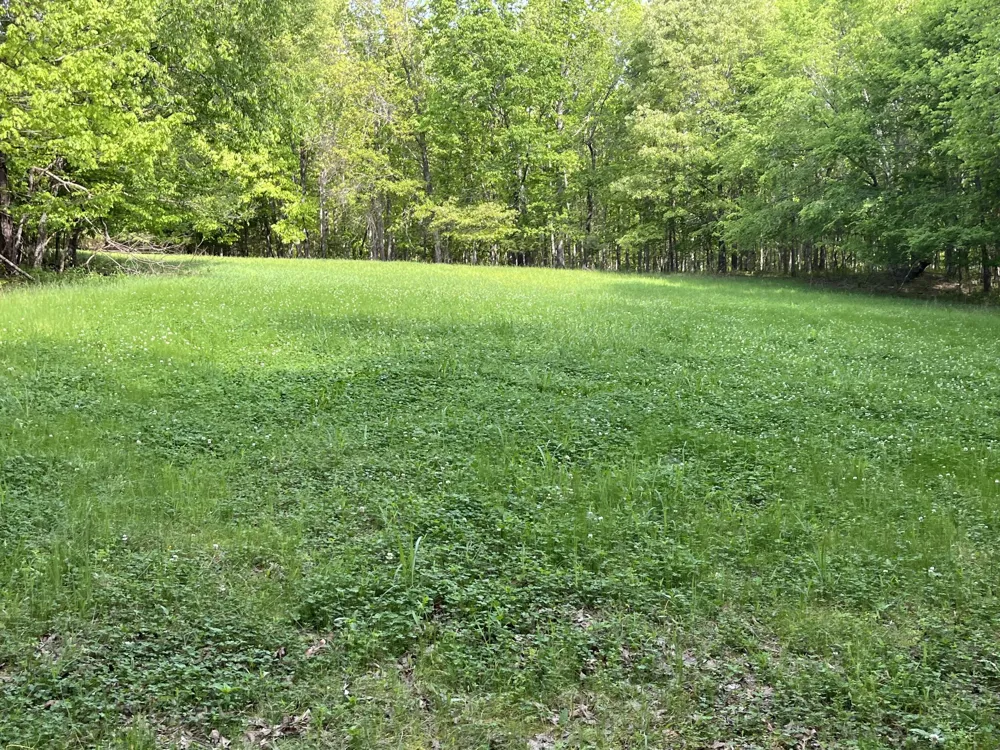 0 Johnson Rd Lutts, TN 38471