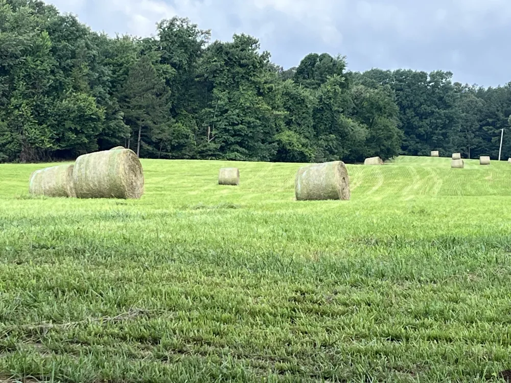 0 Johnson Rd Lutts, TN 38471