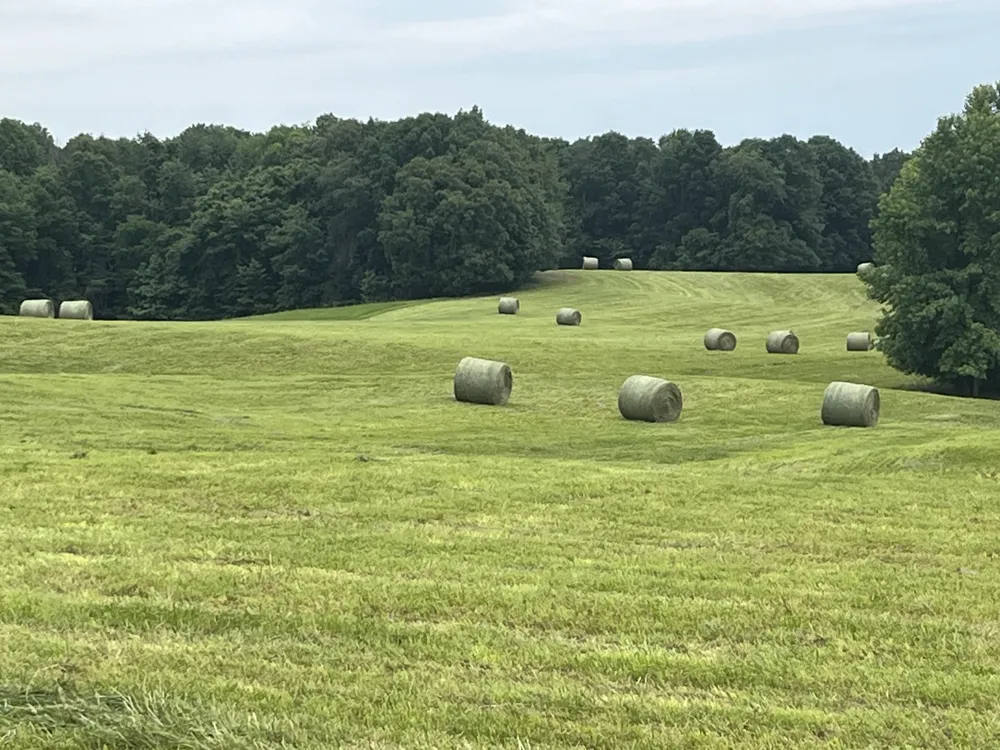 0 Johnson Rd Lutts, TN 38471