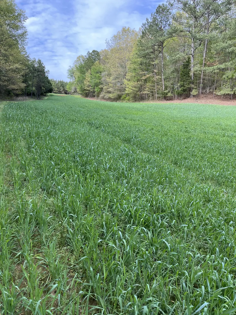 0 Johnson Rd Lutts, TN 38471