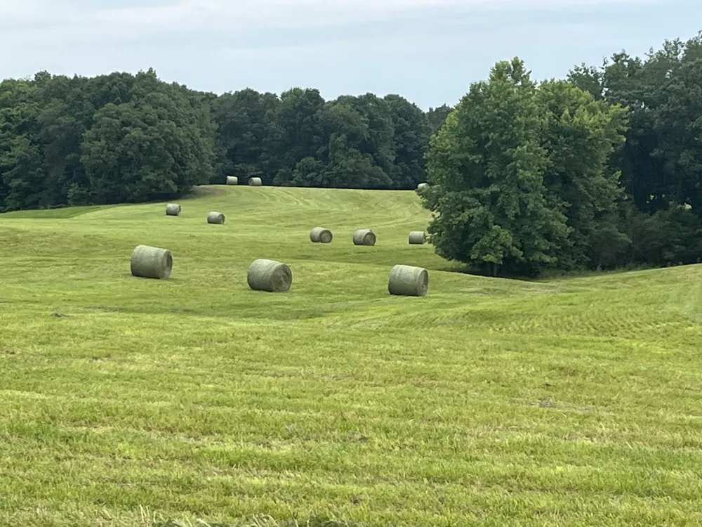 0 Johnson Rd Lutts, TN 38471