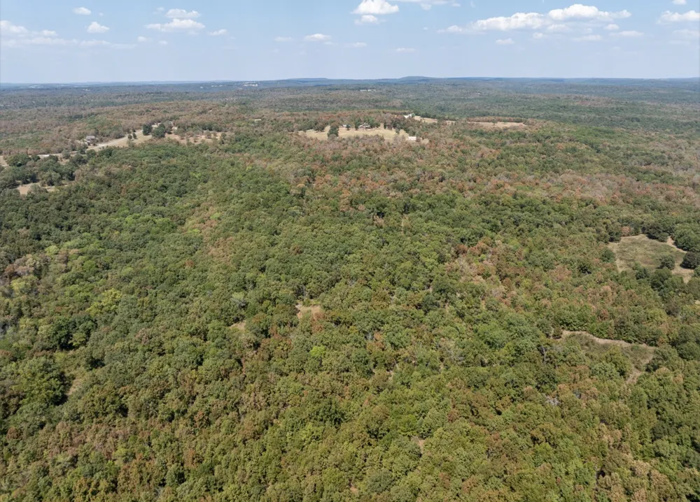 4530 Rd Vian, OK 74962