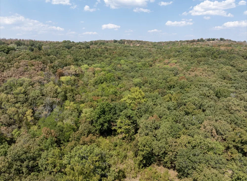 4530 Rd Vian, OK 74962