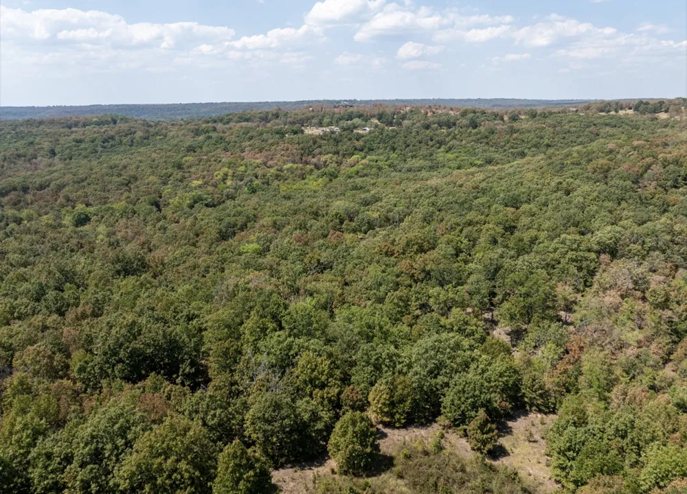 4530 Rd Vian, OK 74962