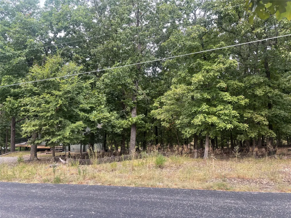 Blackwood Drive Afton, OK 74331