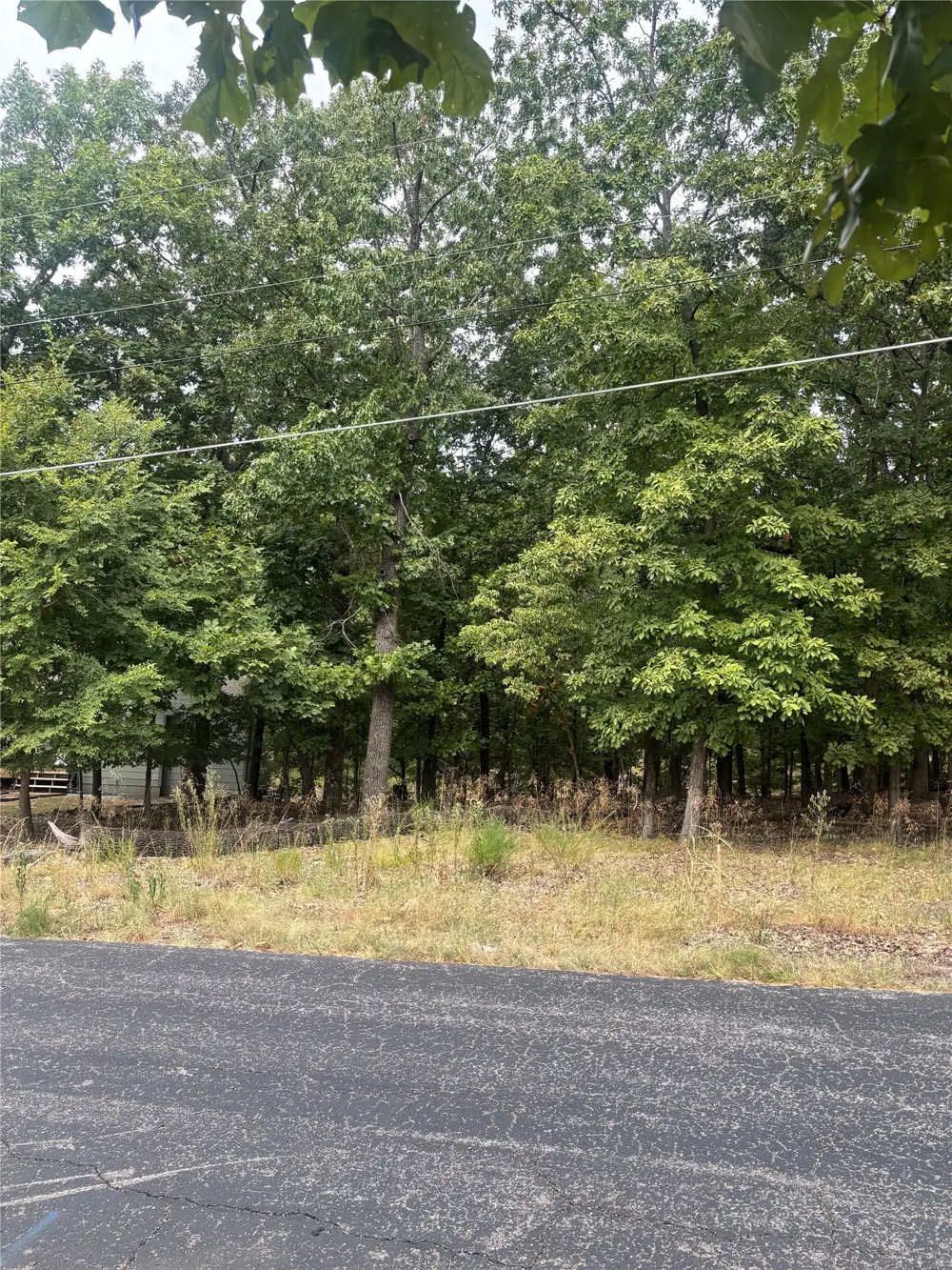 Blackwood Drive Afton, OK 74331