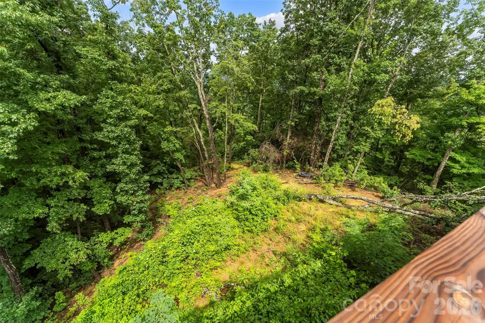 266 Potomac Falls Drive Black Mountain, NC 28711