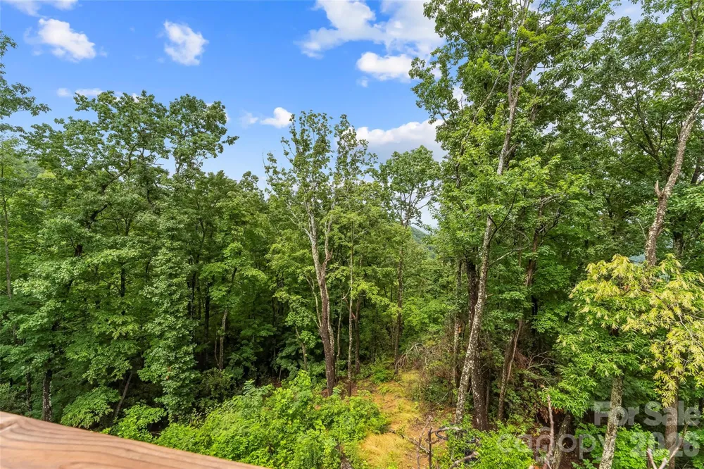 266 Potomac Falls Drive Black Mountain, NC 28711
