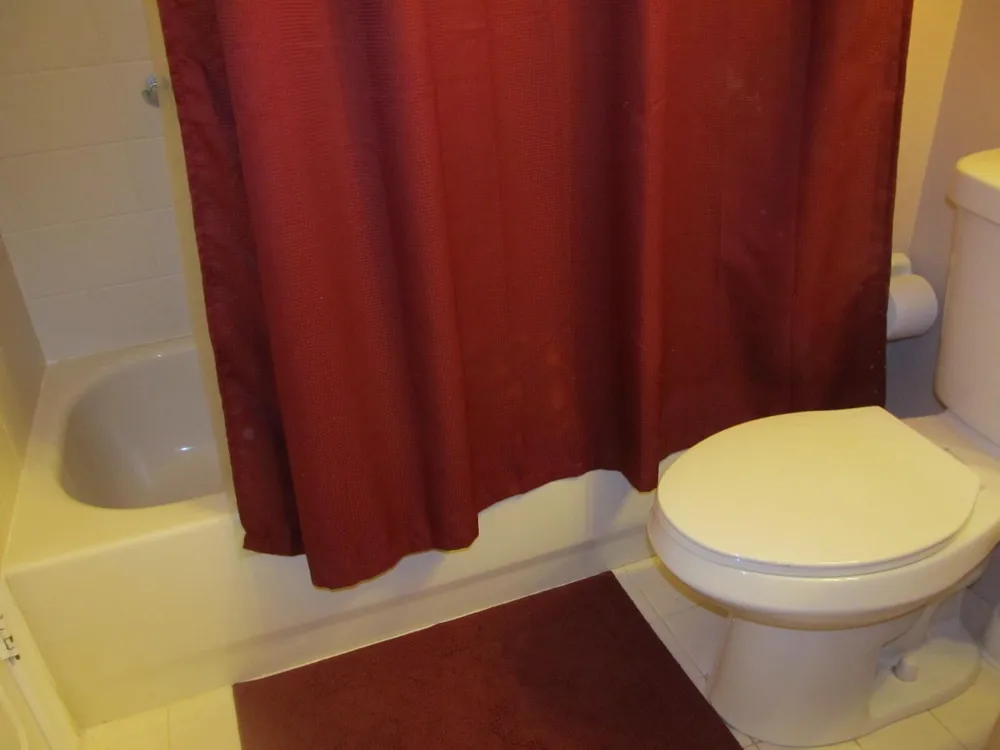 10682 OLD HAMMOCK WAY Wellington, FL 33414