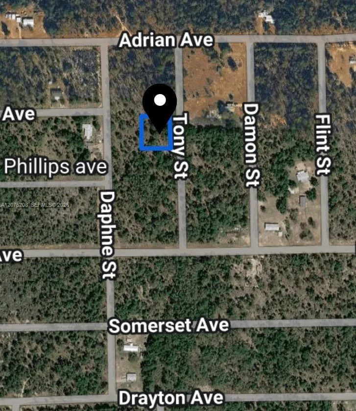 TOBY ST Palatka, FL 32148