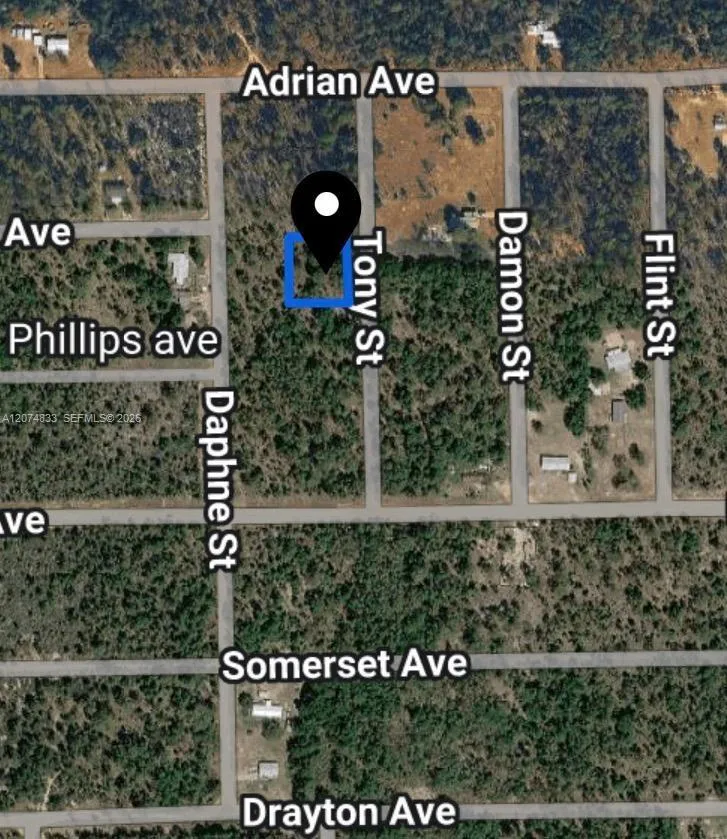 TOBY ST Palatka, FL 32148