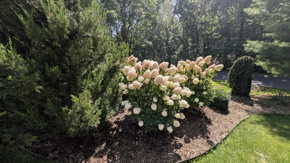 4462 Manchester Lane Twin Lake, MI 49457