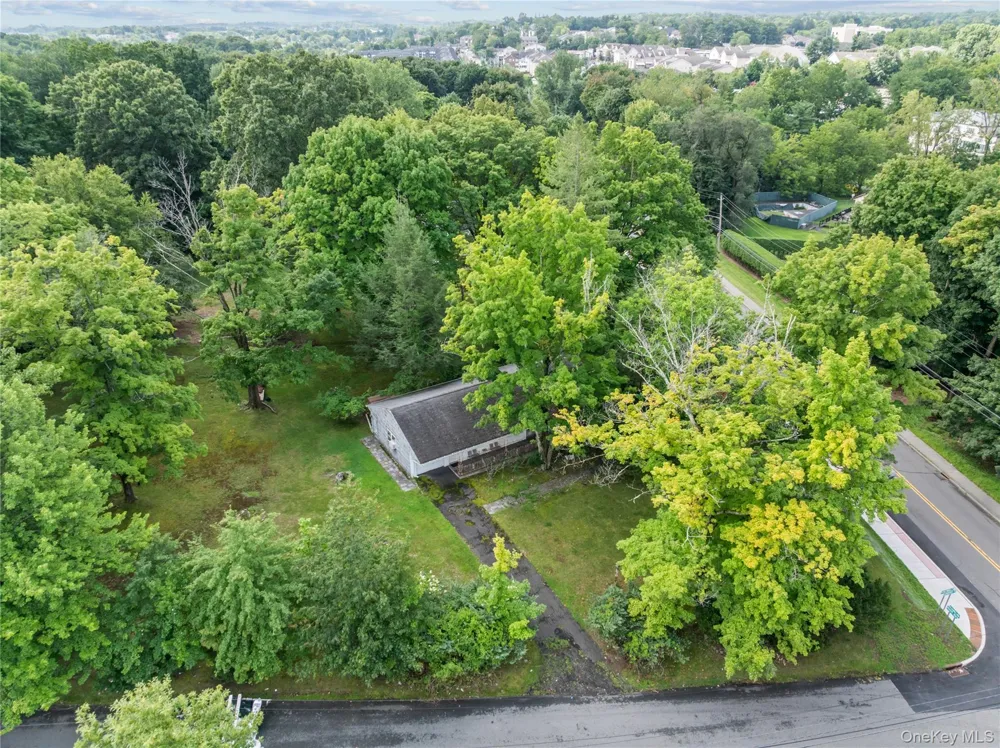 1A Langeries Drive Monsey, NY 10952