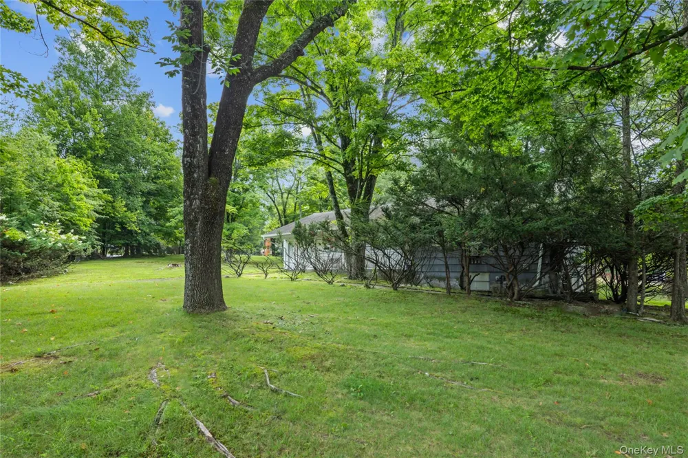 1A Langeries Drive Monsey, NY 10952