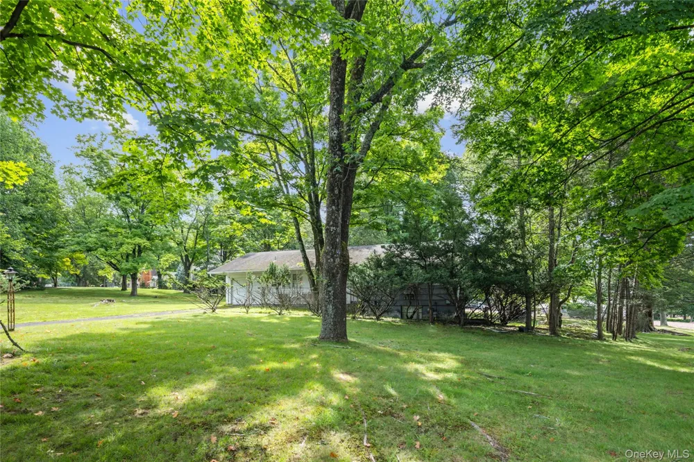 1A Langeries Drive Monsey, NY 10952